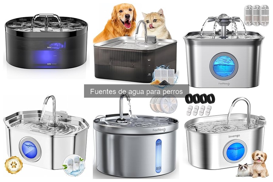 Cómo Instalar una Fuente de Agua para Perros Fácilmente