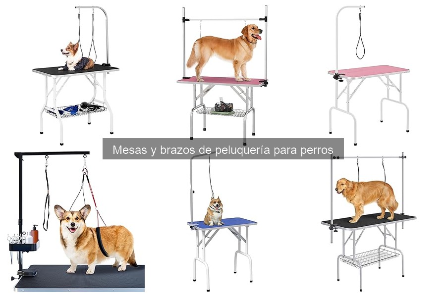 Cómo instalar una mesa de peluquería para perros fácilmente