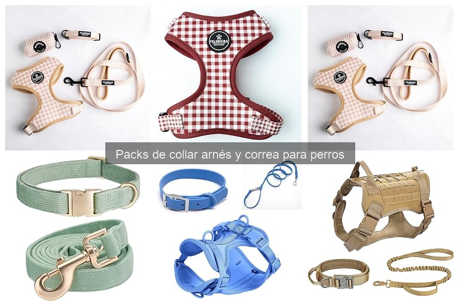 Cómo Instalar y Ajustar Collar, Arnés y Correa para Perros