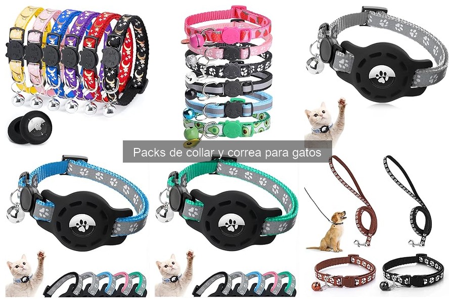 Cómo instalar y ajustar collar y correa para gatos