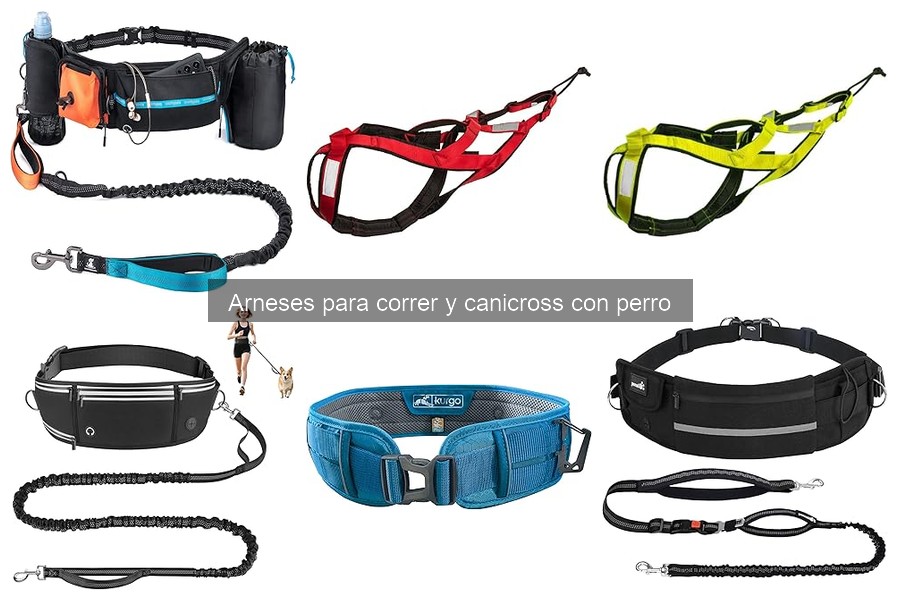 Cómo instalar y ajustar correctamente el arnés para correr con tu perro