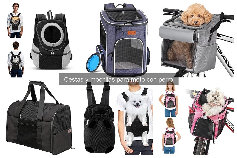 Cómo Instalar y Usar una Cesta o Mochila para Moto con Tu Perro