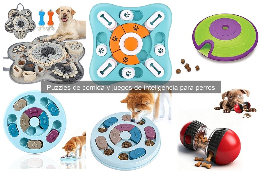 Cómo introducir a tu perro a un puzzle de comida de forma efectiva