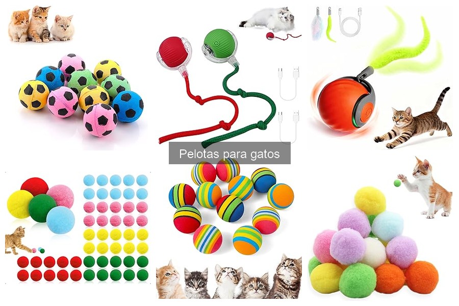 ** Cómo introducir pelotas como juguete a tu gato