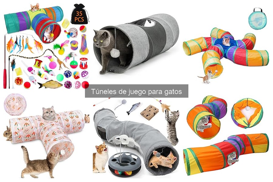 Cómo Introducir un Túnel de Juego a Tu Gato: Consejos Útiles