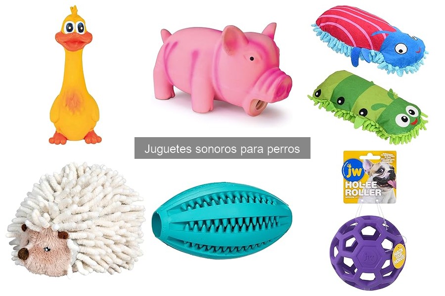 Cómo jugar con juguetes sonoros para perros: consejos prácticos