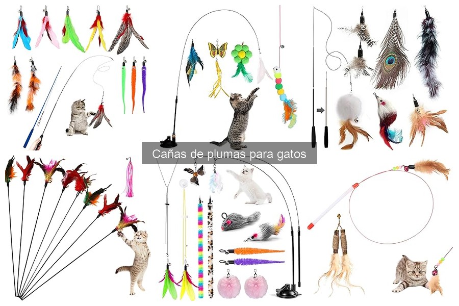 Cómo jugar correctamente con una caña de plumas para gatos