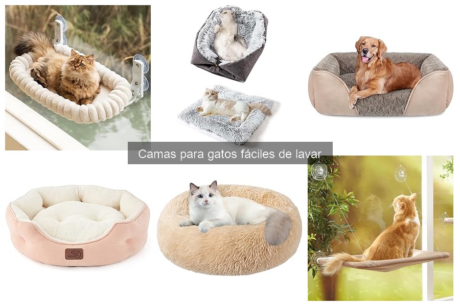 Cómo lavar correctamente la cama de tu gato