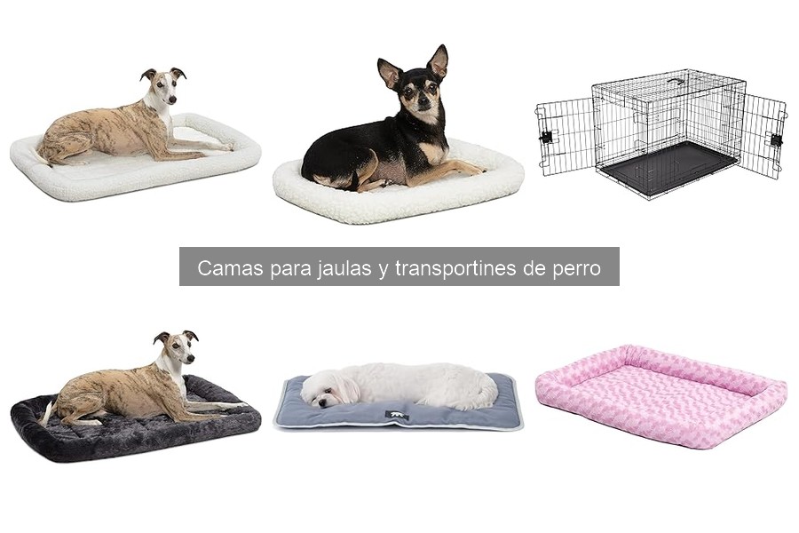 Cómo lavar y mantener camas para jaulas de perros
