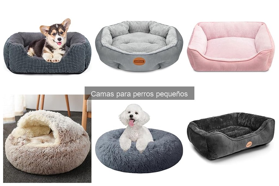 Cómo lavar y mantener la cama de tu perro pequeño