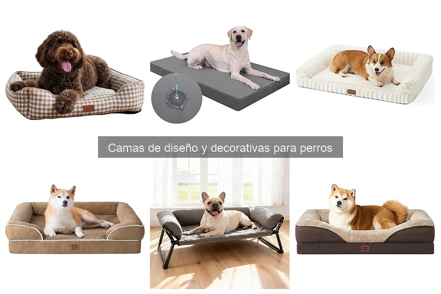 Cómo limpiar camas de diseño para perros fácilmente