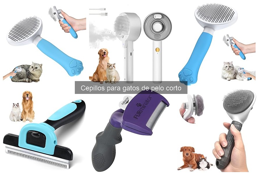Cómo limpiar cepillos para gatos de pelo corto: guía práctica