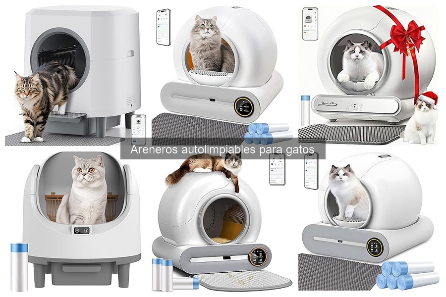 Cómo Limpiar tu Arenero Autolimpiable para Gatos Eficazmente