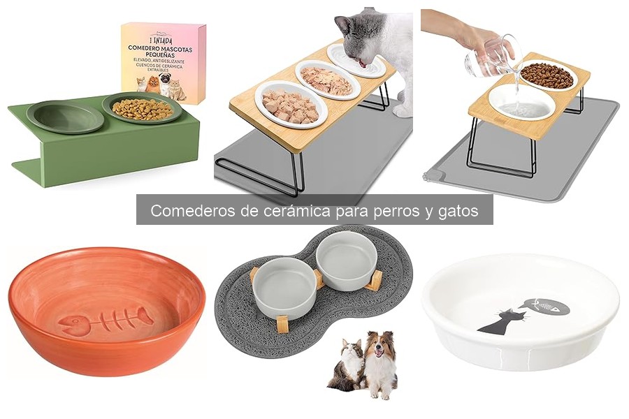 Cómo limpiar tu comedero de cerámica para perros y gatos