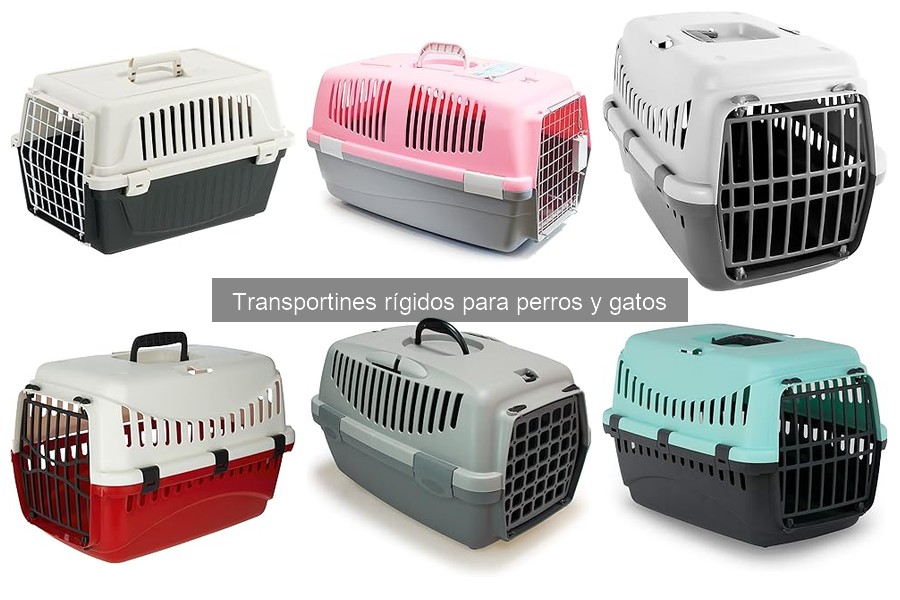 Cómo limpiar tu transportín rígido para perros y gatos