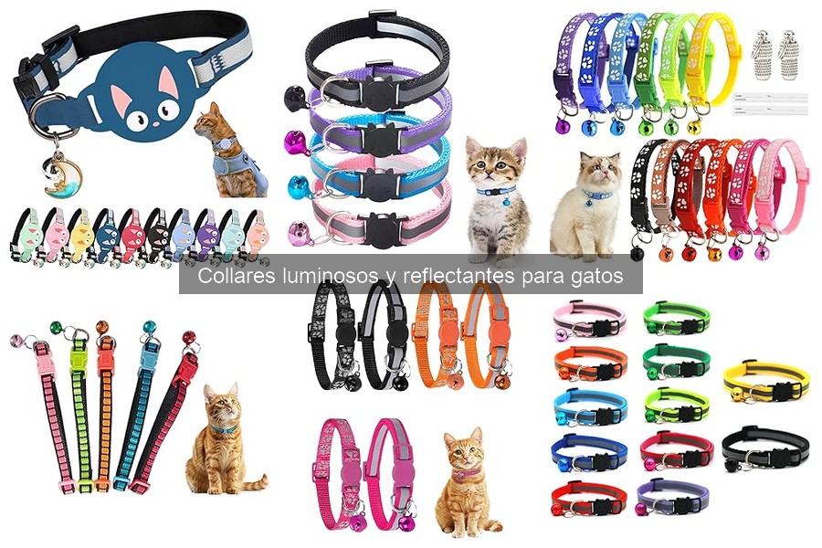 Cómo limpiar y cuidar collares luminosos para gatos