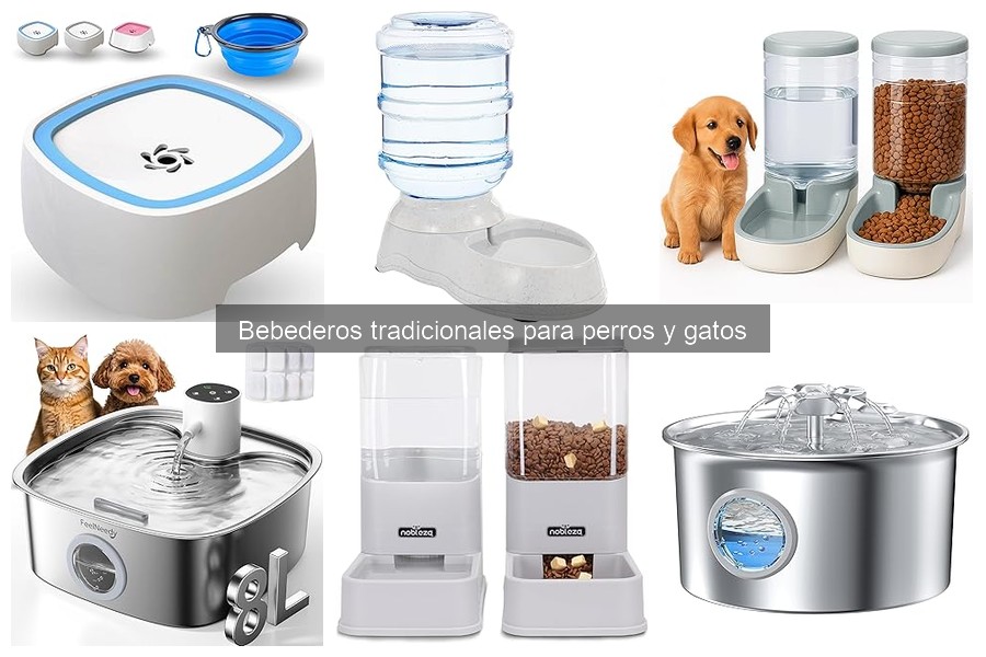 Cómo limpiar y mantener bebederos tradicionales para mascotas