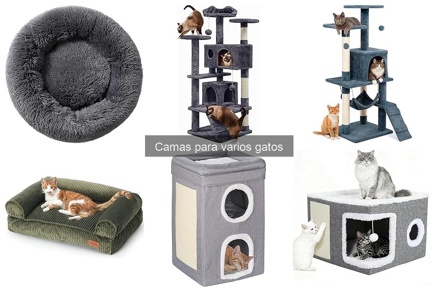 Cómo limpiar y mantener camas para gatos fácilmente