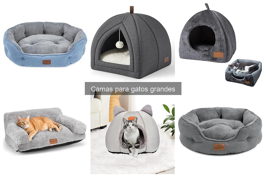 Cómo Limpiar y Mantener Camas para Gatos Grandes