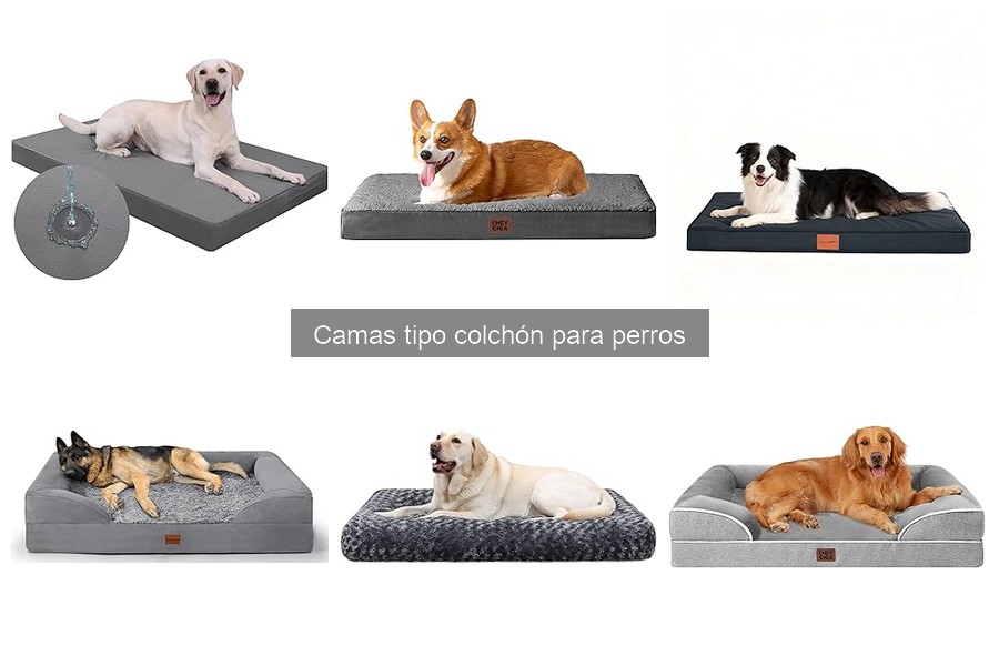 Cómo limpiar y mantener camas tipo colchón para perros