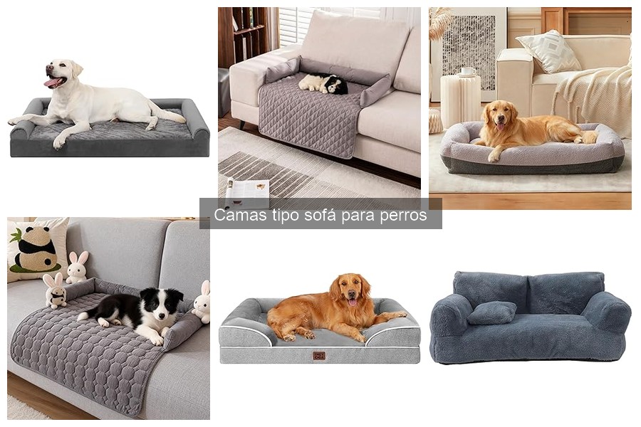 Cómo limpiar y mantener camas tipo sofá para perros