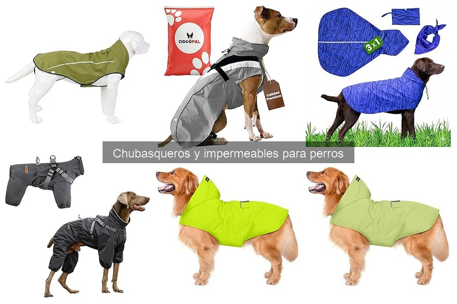 Cómo limpiar y mantener chubasqueros para perros