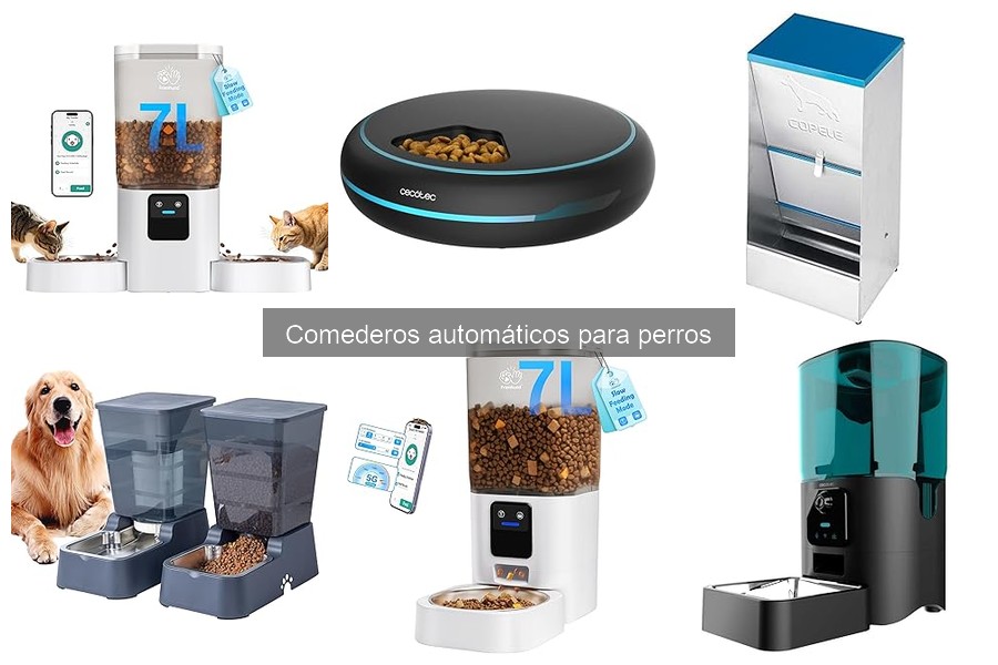 Cómo limpiar y mantener comederos automáticos para perros