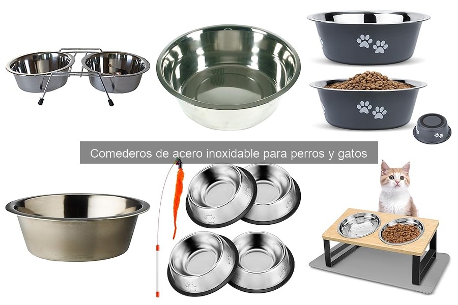 Cómo limpiar y mantener comederos de acero inoxidable para mascotas