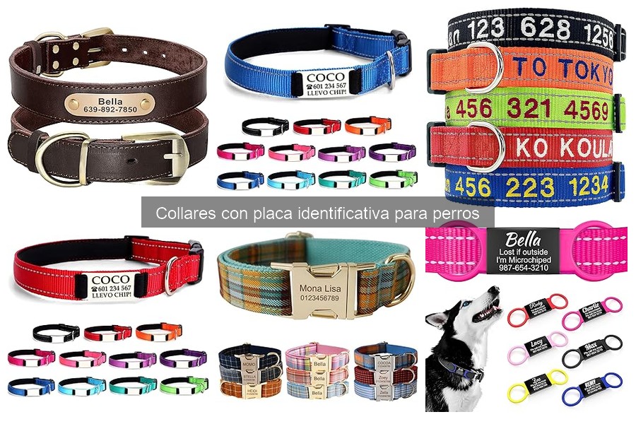Cómo Limpiar y Mantener el Collar Identificativo para Perros