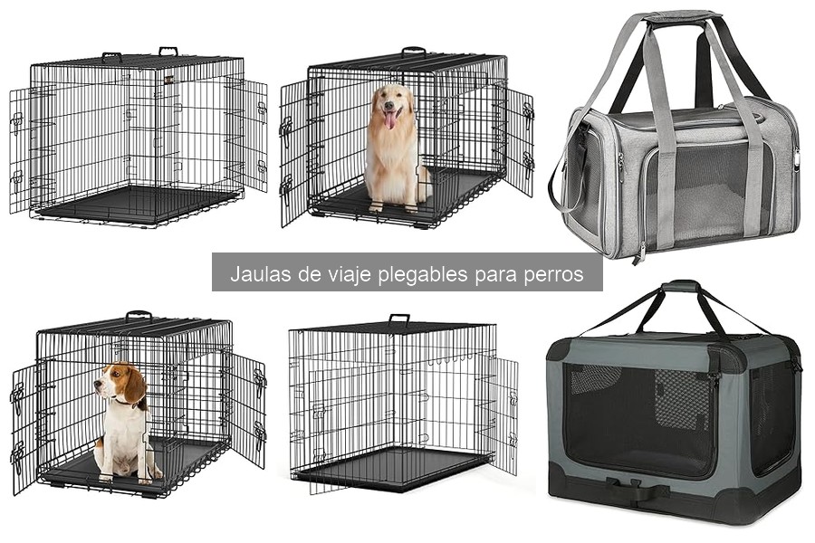 Cómo limpiar y mantener jaulas de viaje para perros