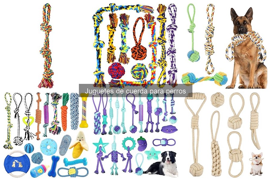 Cómo limpiar y mantener juguetes de cuerda para perros