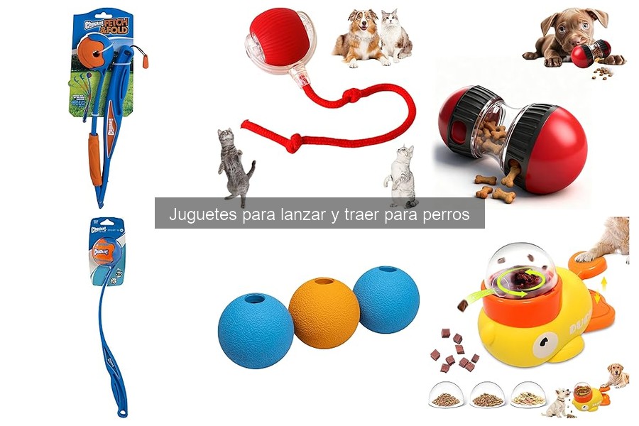 Cómo limpiar y mantener juguetes para perros correctamente