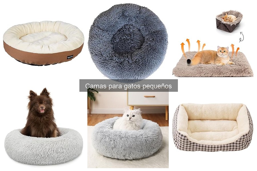 Cómo Limpiar y Mantener la Cama de tu Gato Pequeño