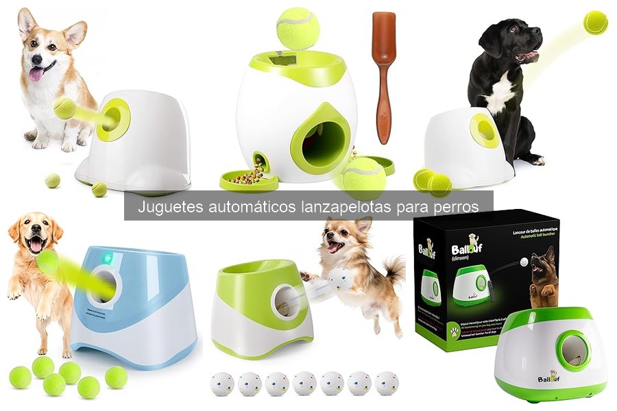 Cómo limpiar y mantener lanzapelotas automáticos para perros