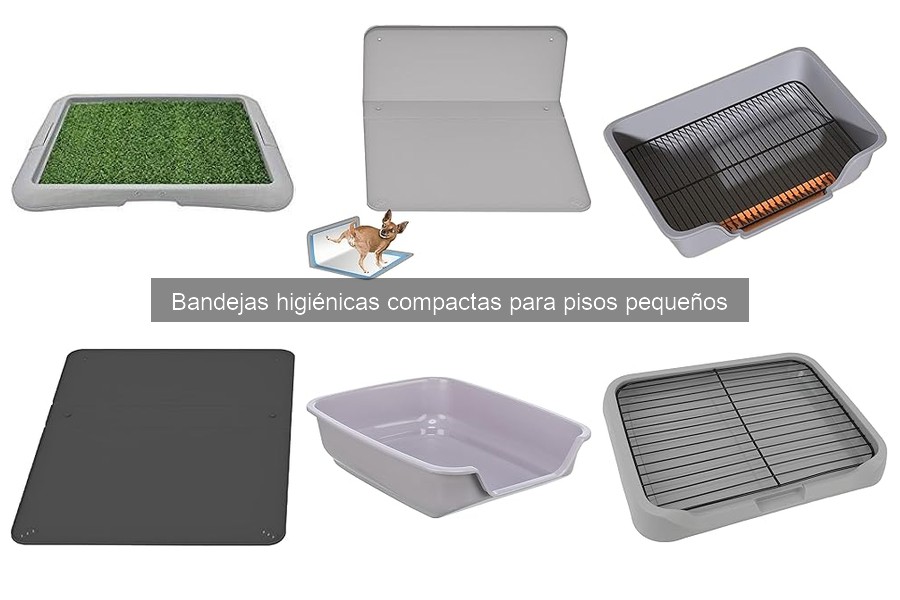 Cómo limpiar y mantener tu bandeja higiénica compacta
