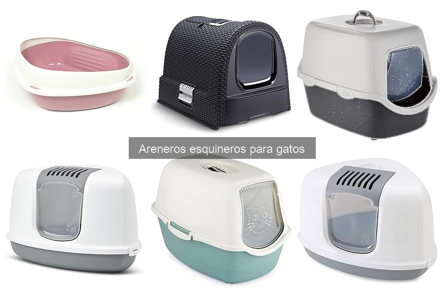 Cómo limpiar y mantener un arenero esquinero para gatos