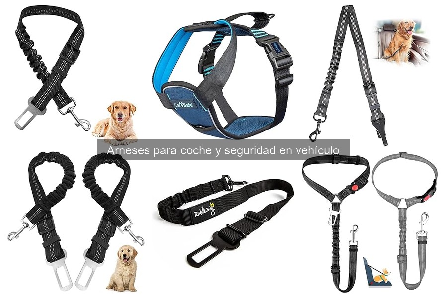 Cómo limpiar y mantener un arnés de coche para perros
