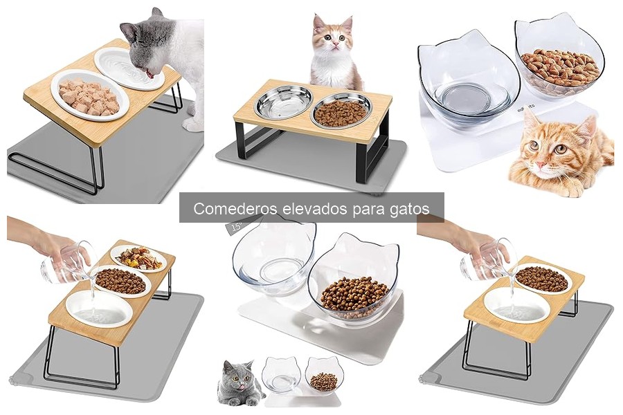 Cómo limpiar y mantener un comedero elevado para gatos