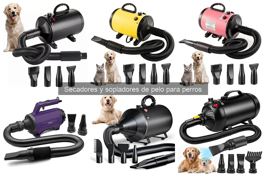 ** Cómo Limpiar y Mantener un Secador para Perros