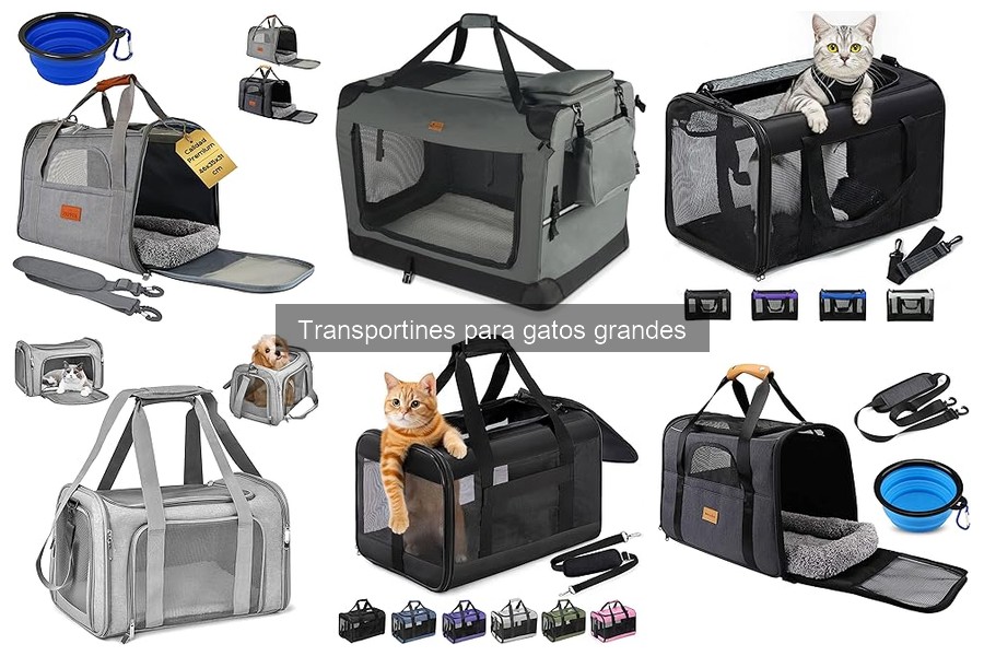 Cómo limpiar y mantener un transportín para gatos grandes