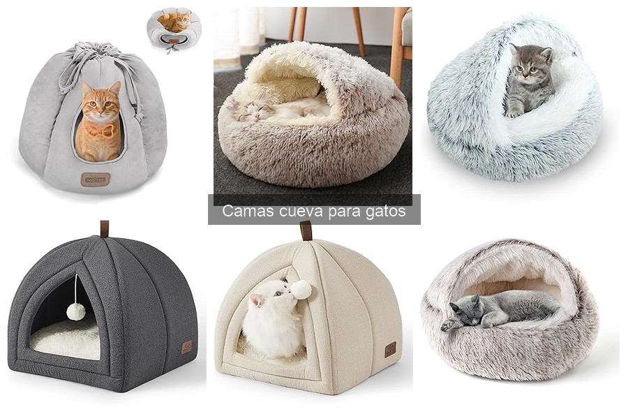 Cómo Limpiar y Mantener una Cama Cueva para Gatos
