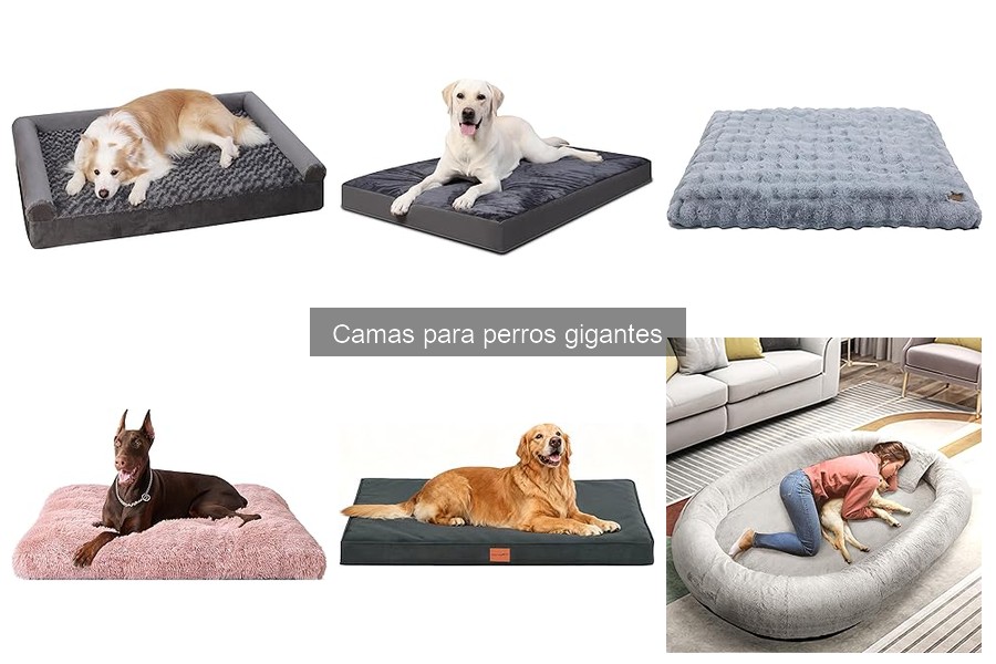 Cómo limpiar y mantener una cama para perro gigante