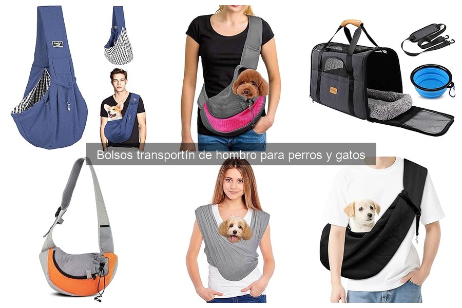 Cómo llevar a tu mascota en un bolso transportín de hombro