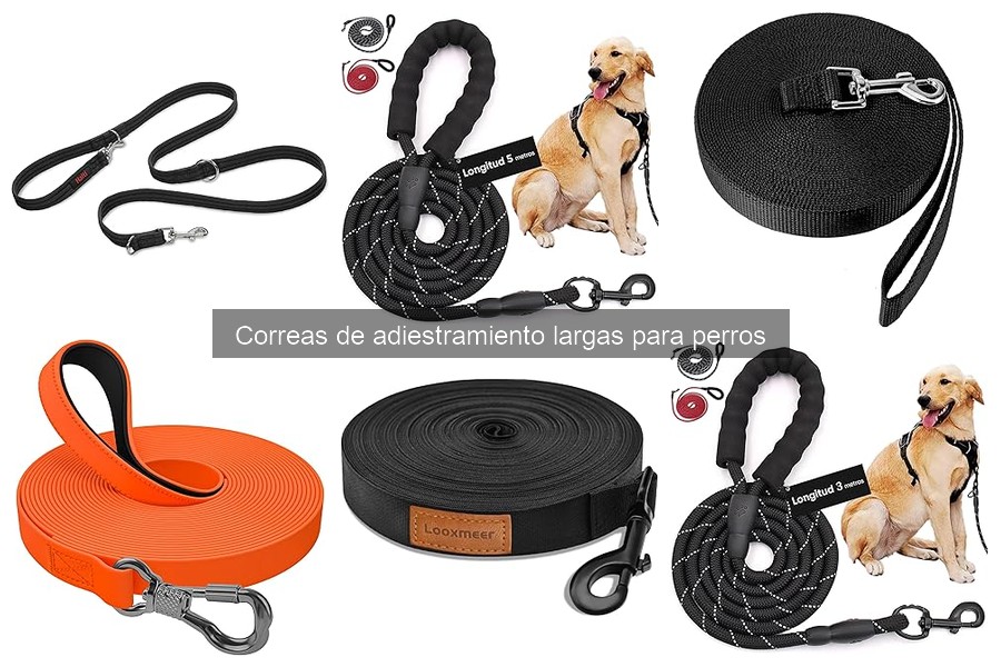 Cómo mantener correas de adiestramiento largas para perros