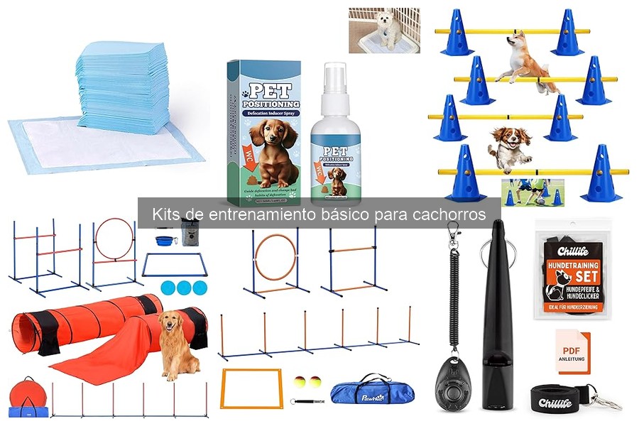 Cómo mantener el interés de tu cachorro en el entrenamiento