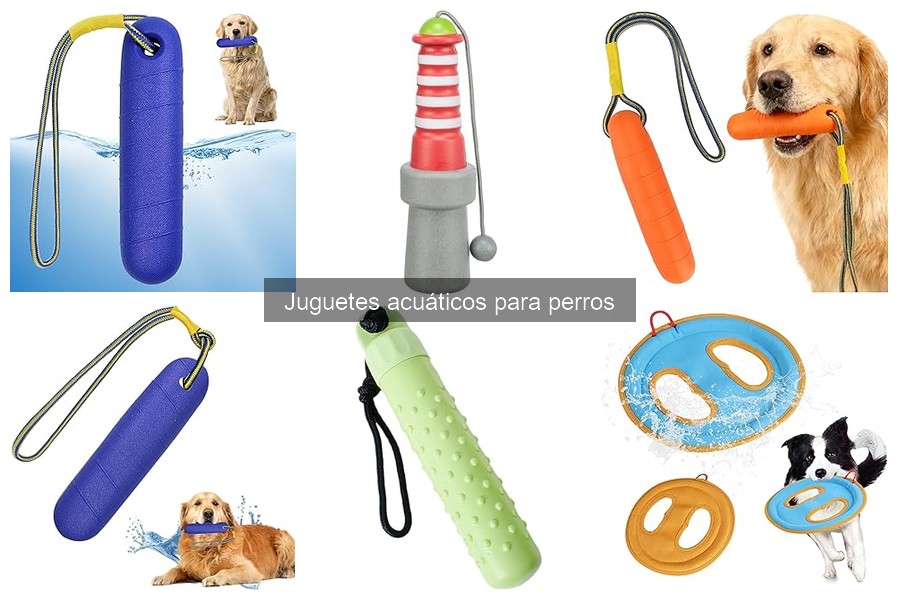 Cómo mantener juguetes acuáticos para perros en buen estado