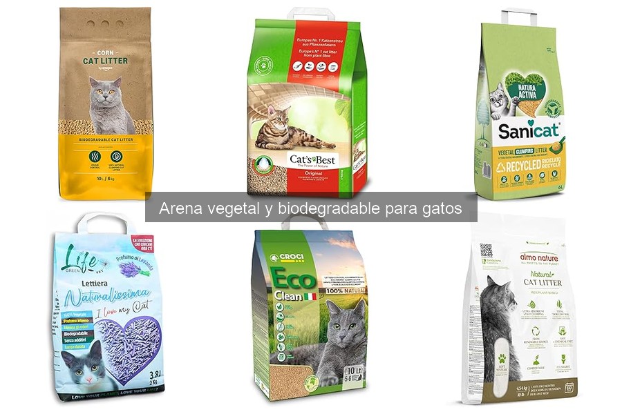 Cómo mantener la caja de arena con arena biodegradable