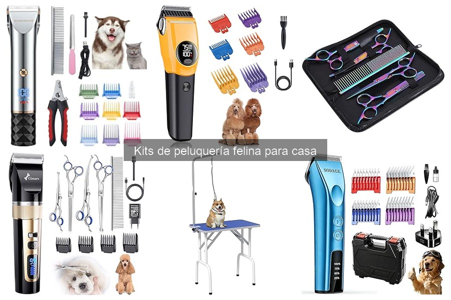 Cómo mantener tu kit de peluquería felina en óptimo estado