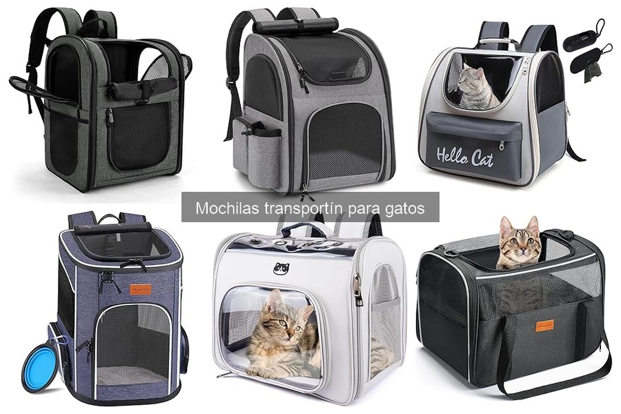 Cómo mantener tu mochila transportín para gatos en perfecto estado