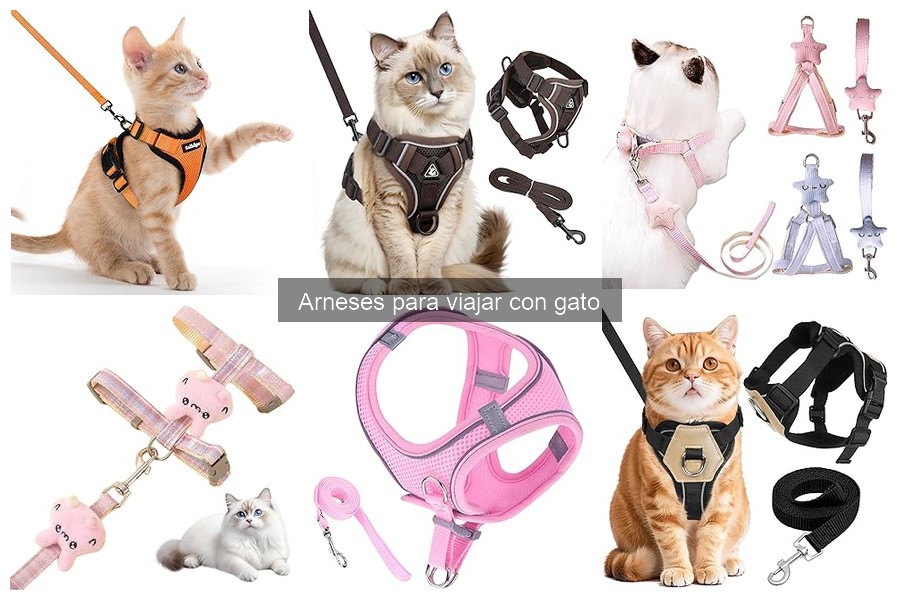 Cómo mantener un arnés para gatos en perfecto estado